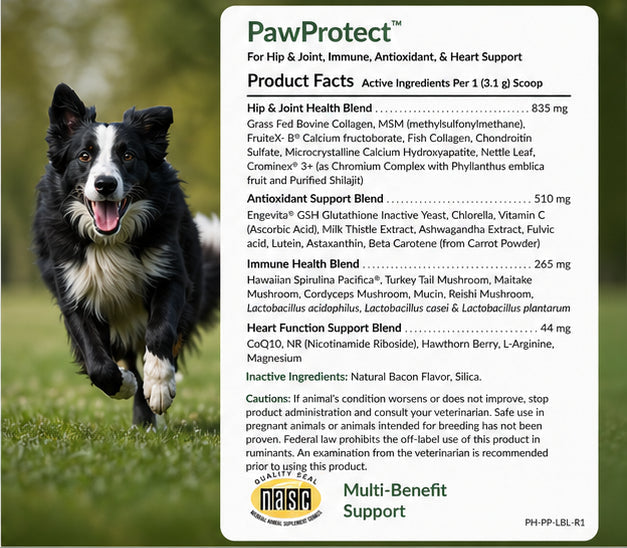 GentlePaws - PawProtect