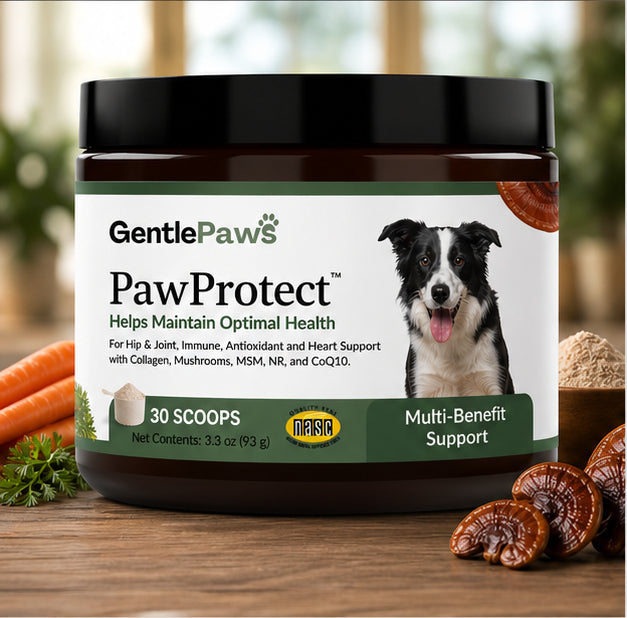 GentlePaws - PawProtect