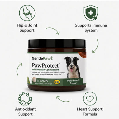 GentlePaws - PawProtect