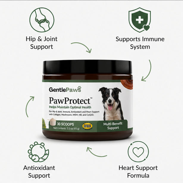GentlePaws - PawProtect