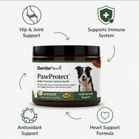 GentlePaws - PawProtect