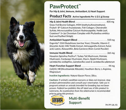 GentlePaws - PawProtect