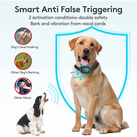 Anti Bark collar