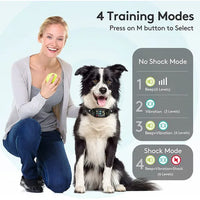 Anti Bark collar