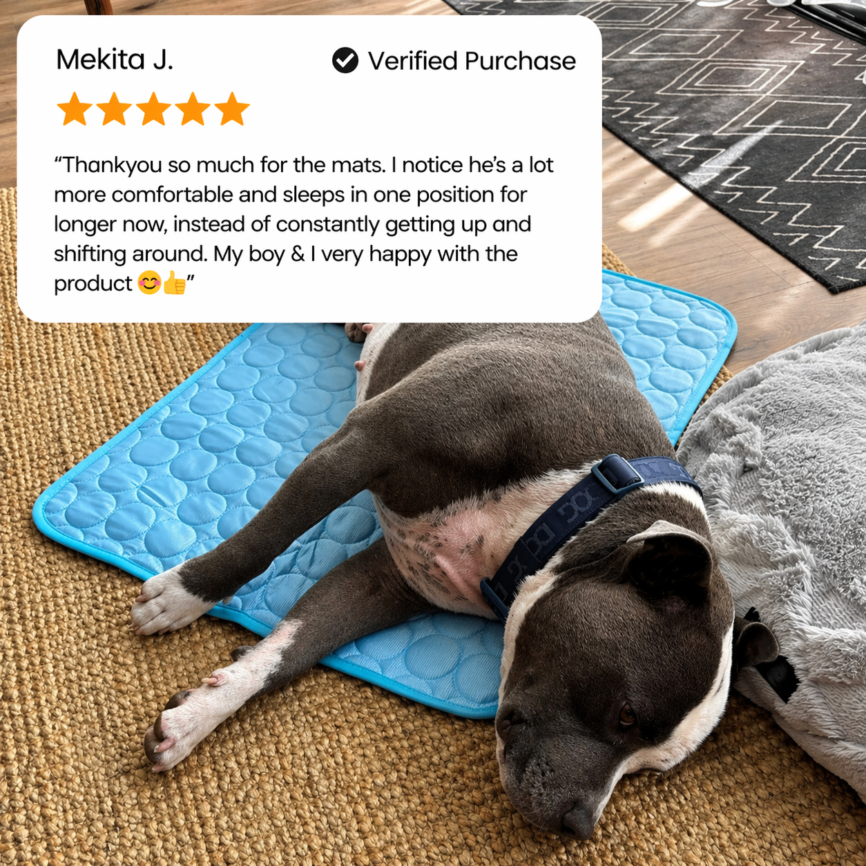 IcyNap™ Ultra Cooling Pet Mat