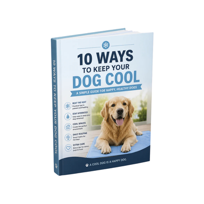 How to Prevent Your Dog From Overheating (Digital Guide)