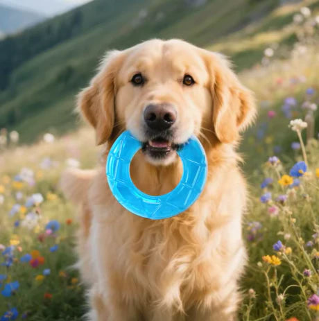 GentlePaws Premium Pet Cooling Toy