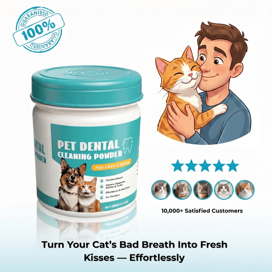PETDENTAL- Turn Your Cat's Bad Breath Into Fresh Kisses — Effortlessly