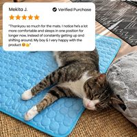 IcyNap™ Cat Cooling Mat