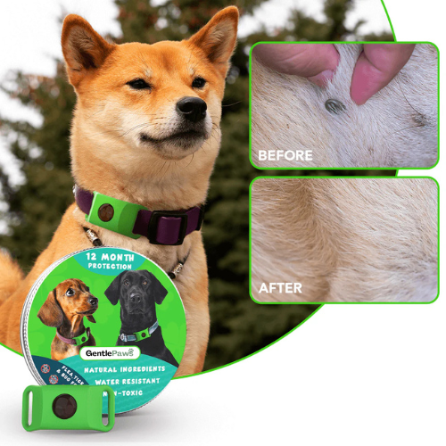 GentlePaws™ - 12 Months Flea and Tick Free