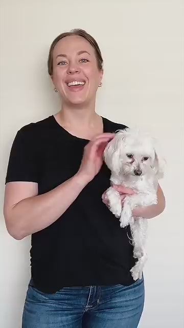 Anti Bark collar video