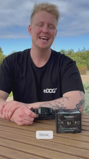 Anti Bark collar video